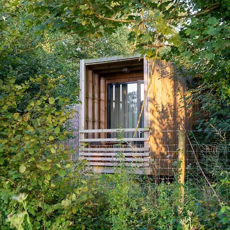 Tranquil Forest Retreat *