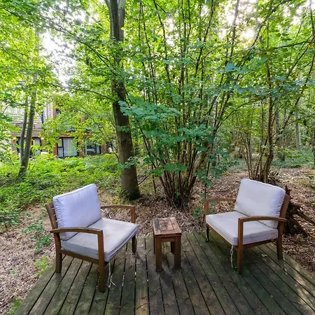 Tranquil Forest Retreat